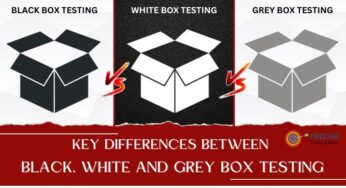 Black Vs. White Vs. Grey Box Testing: Important Differences