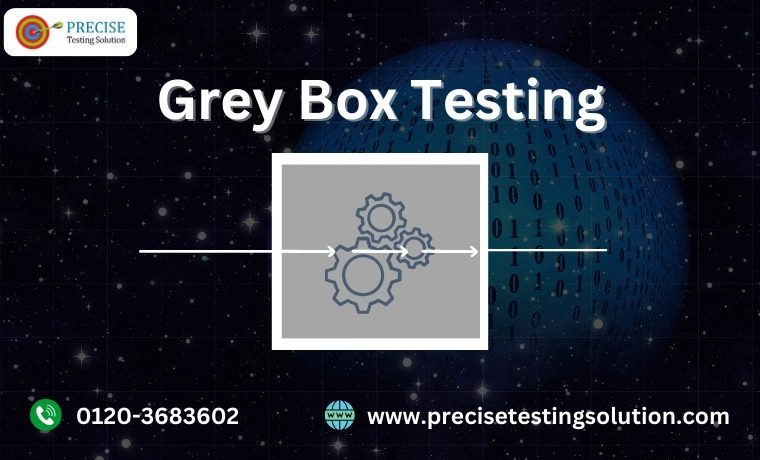 Grey Box Testing
