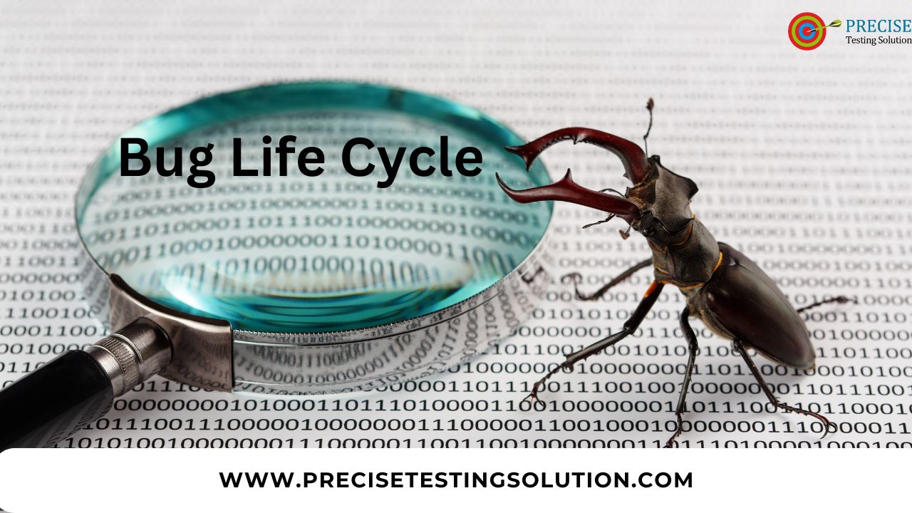 What Is a Bug Life Cycle? How to Implement It